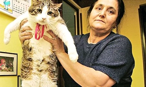 1 47048 original jpg jpeg