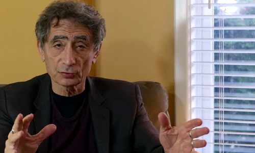 gabor mate png