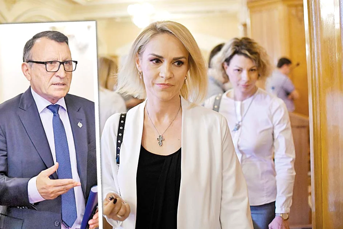 Gabriela Firea l-a impus pe Paul Stănescu, baron de Olt, în funcţia de președinte executiv 