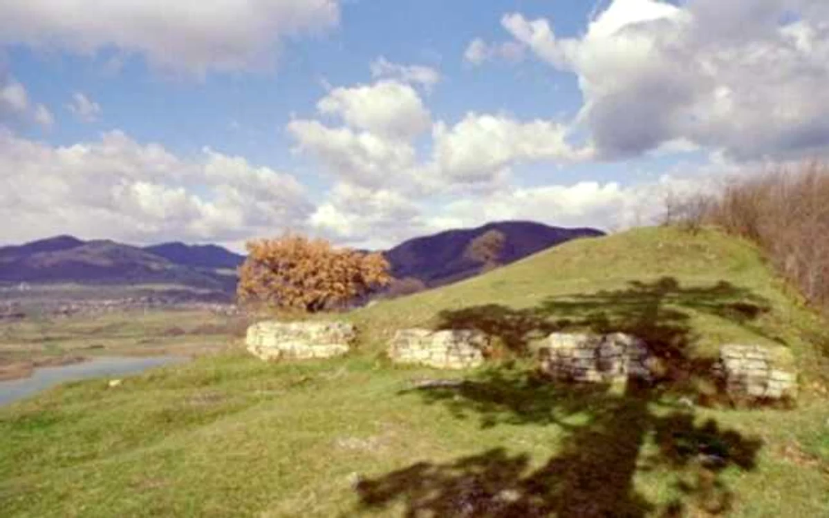 Petrodava