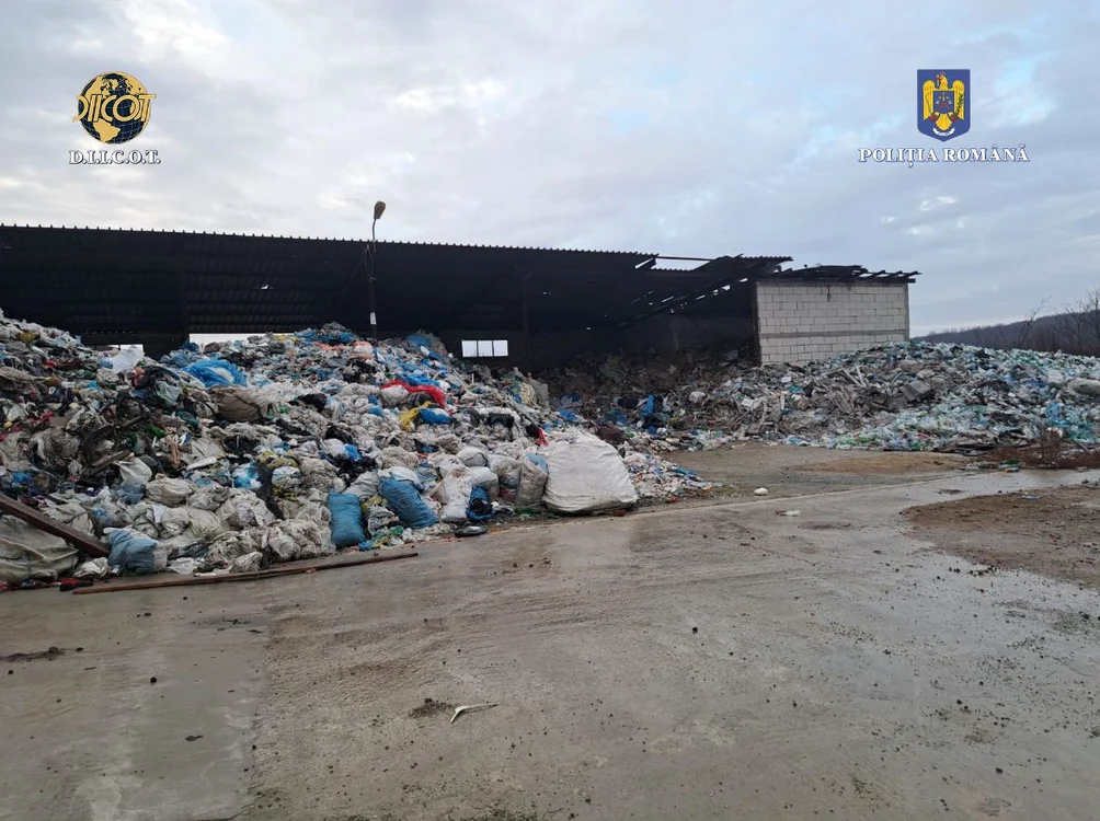 Membrii grupării colectau în acte deșeuuri reciclabile FOTO: IPJ Dolj