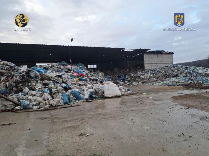 Membrii grupării colectau în acte deșeuuri reciclabile FOTO: IPJ Dolj