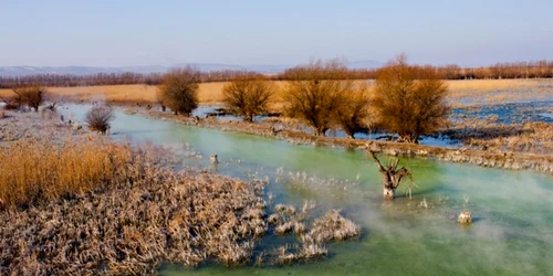 delta dunarii tulcea