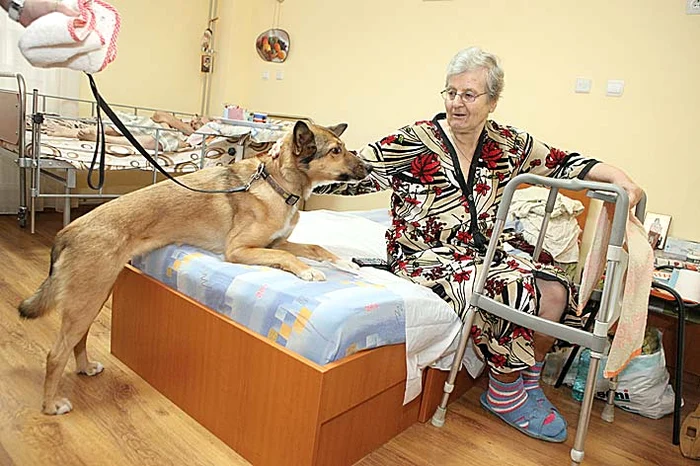 Ţuca a venit să o viziteze pe Floarea şi s-a urcat direct în pat