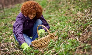 cules de urzici jpeg