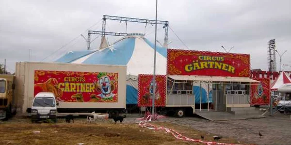 Circul Gartner