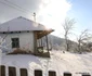 Pădurea de argint, Săcărâmb Foro Daniel Guță ADEVĂRUL (9) JPG