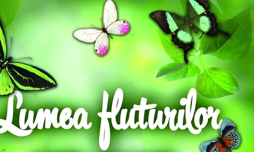 1 58446 original jpg jpeg