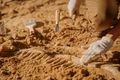 arheologie arheologi istock jpg