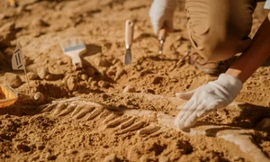 arheologie arheologi istock jpg