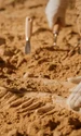arheologie arheologi istock jpg