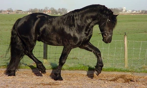 Scrisoarea anului: "a venit moment de razbunar pentru Romania" jpeg