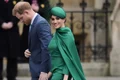 meghan markle jpg
