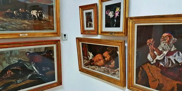 muzeu topalu foto bogdan bola