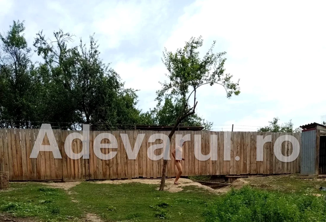 
    Bărbatul a fost găsit legat de un copac Foto: adevarul.ro  
