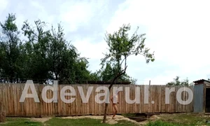 dezbracat vaslui 0 jpeg