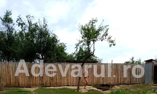 dezbracat vaslui 0 jpeg