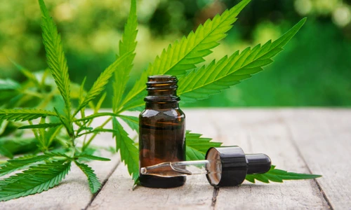 1 ulei de canabis 1 jpg jpeg