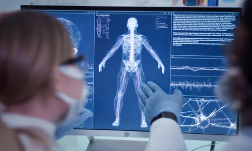 shutterstock 1937681023 jpg