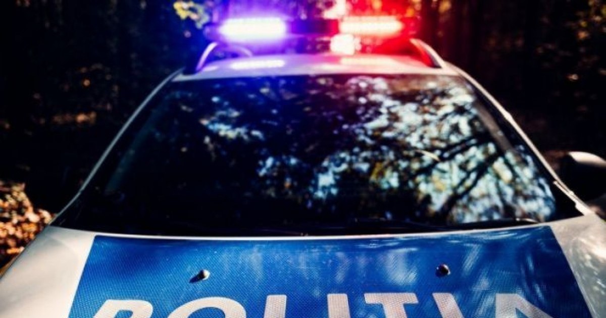 Oseminte misterioase descoperite în Timișoara în timpul lucrărilor de excavarе. Oseminte misterioase descoperite în Timișoara în timpul lucrărilor de excavarе.