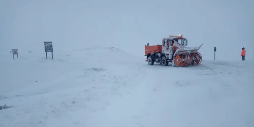 deszapezire transalpina foto drdp craiova jpeg