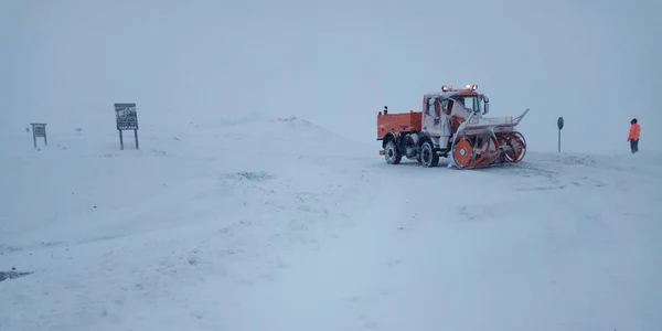 deszapezire transalpina foto drdp craiova jpeg
