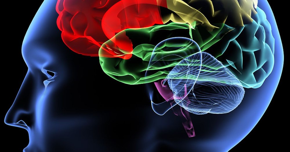 Ce se întâmplă cu creierul tău când îmbătrânești? Descoperirea neurologilor