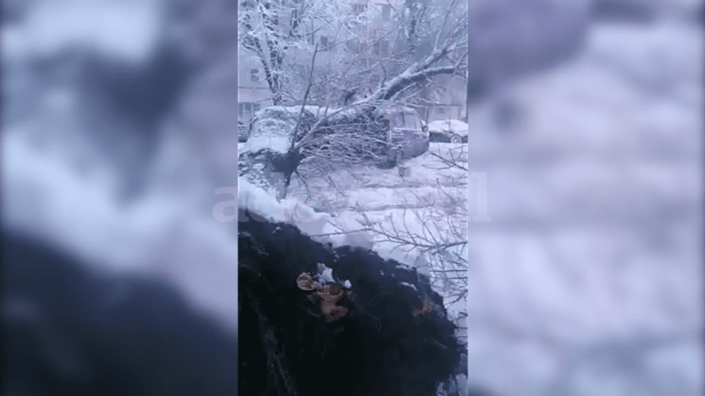 Mașini strivite de copaci în Buzău. În satele de la munte s-au format troiene de doi metri VIDEO