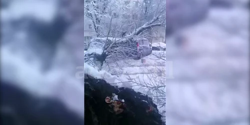 Sequence 02 1 mp4 thumbnail png