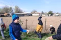 gm braila 2 jpg