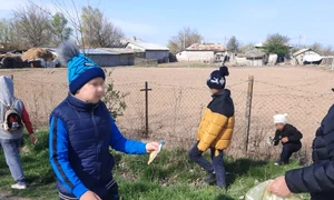 gm braila 2 jpg