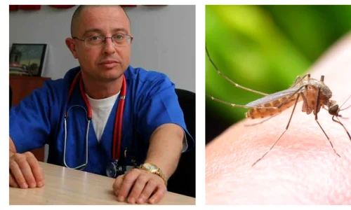 Ciuhodaru tantari jpg