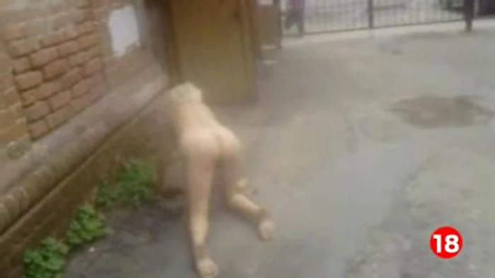 Rusoaica merge în patru labe pe stradă