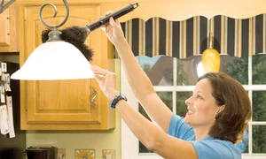 12 13 sanatate 4 bacterii jpeg