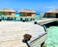 30 andreea banica sexy in maldive lucian mitrea 2 jpg jpeg