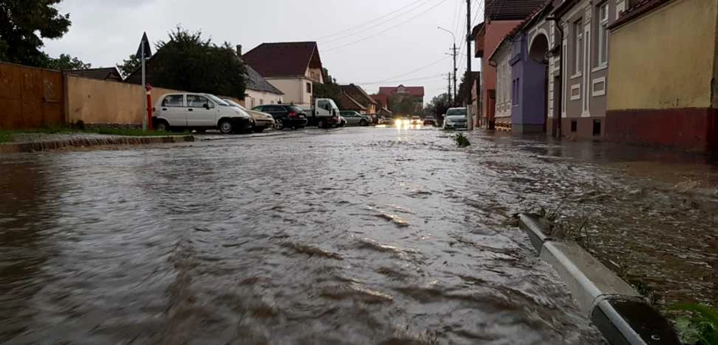 FOTO: Arhiva Adevarul