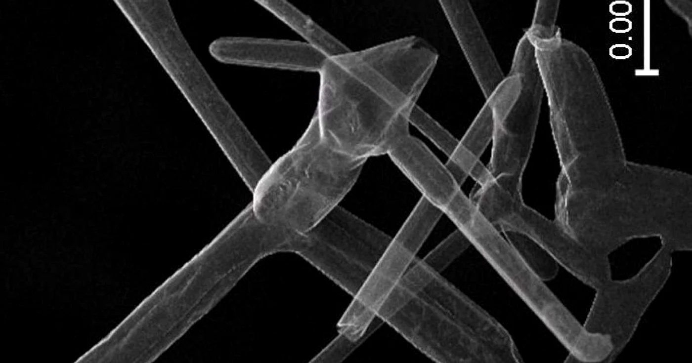 
		    Acesta este aerografitul văzut cu un microscop electronic. FOTO: Universitatea Tehnică din Hamburg