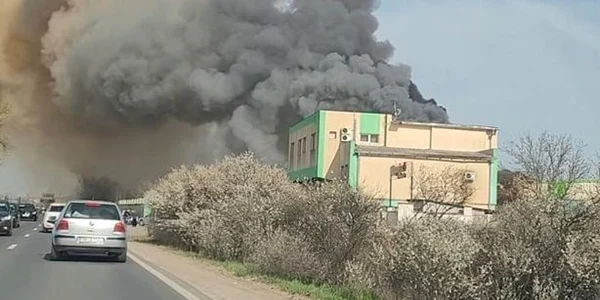 FOTO Info Trafic Timiş