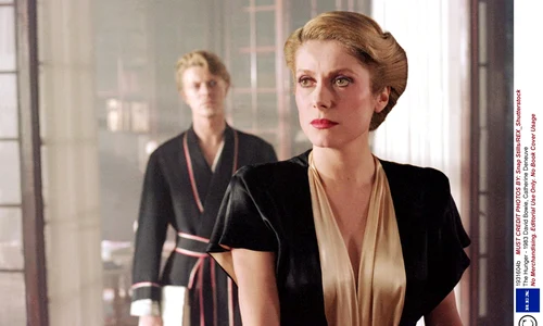 catherine deneuve david bowie the hunger rexfeatures 1931604b jpeg