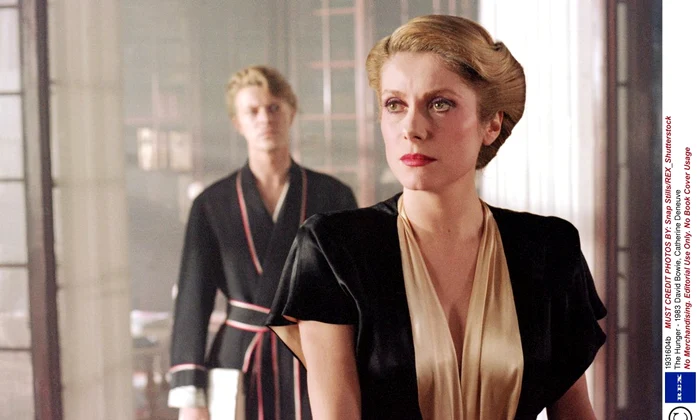 catherine deneuve david bowie the hunger rexfeatures 1931604b jpeg