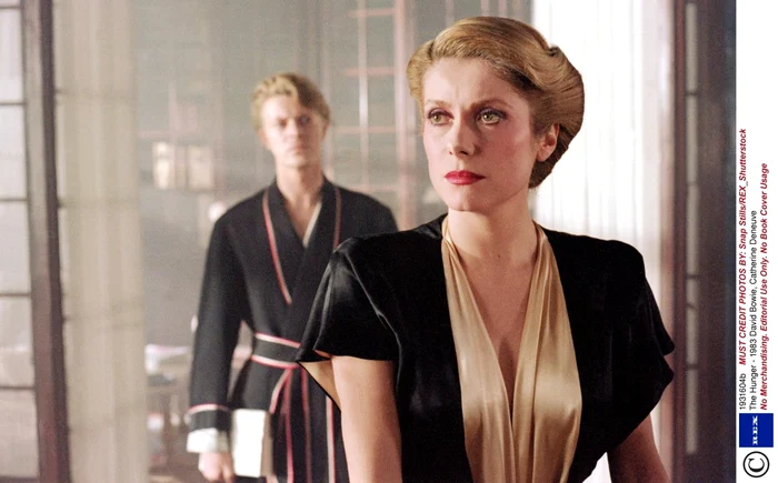 catherine deneuve david bowie the hunger rexfeatures 1931604b jpeg
