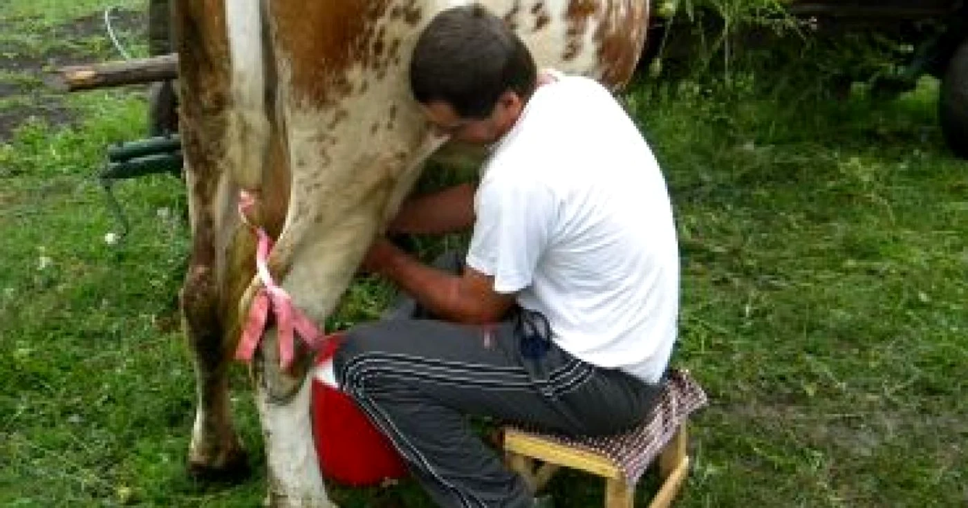 Subvenţia la animale, o incertitudine pentru fermieri