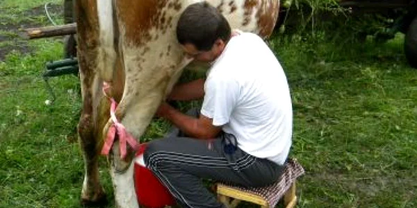 Subvenţia la animale, o incertitudine pentru fermieri