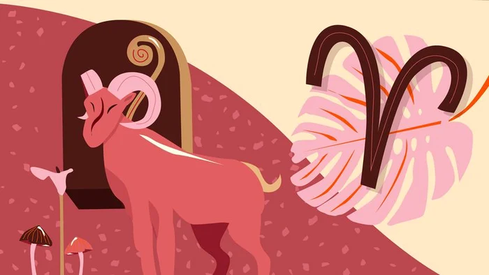 Sursa foto: Facebook