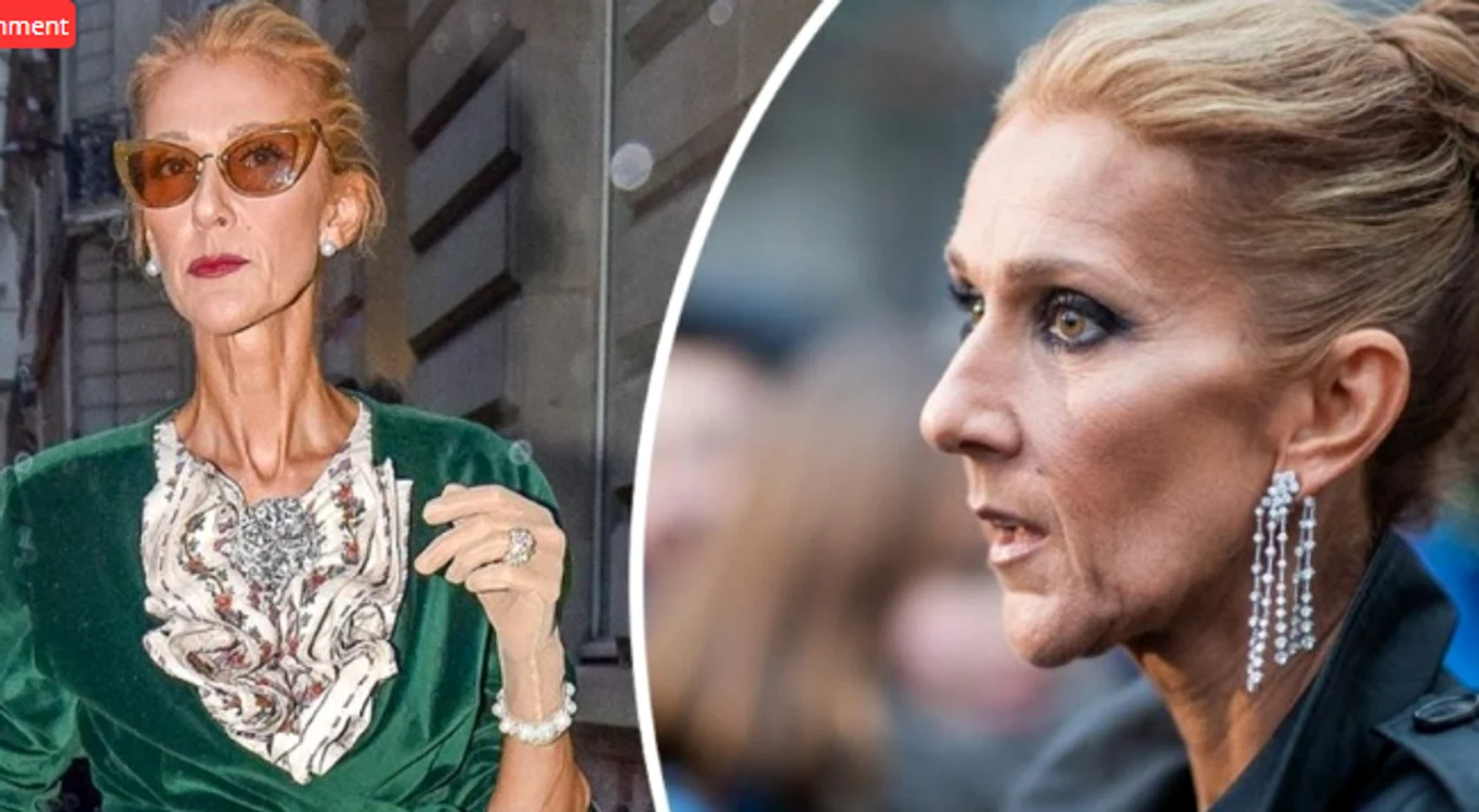 1 celine dion png png