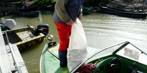 Acte false pentru un motor de barcă (foto arhivă)