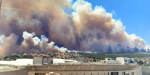 incendii franta foto x jpg