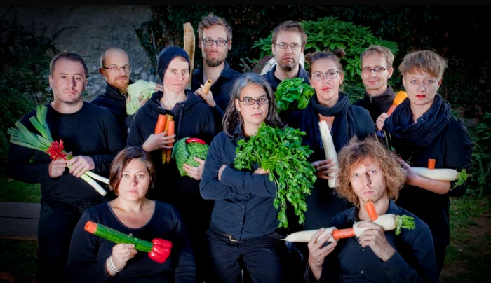 Orchestra de Legume din Viena 