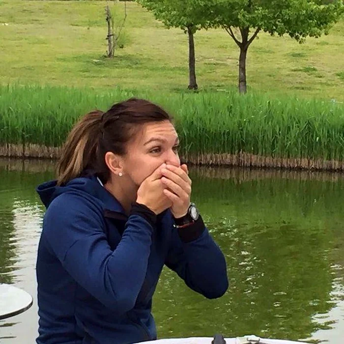 Simona Halep in actiune