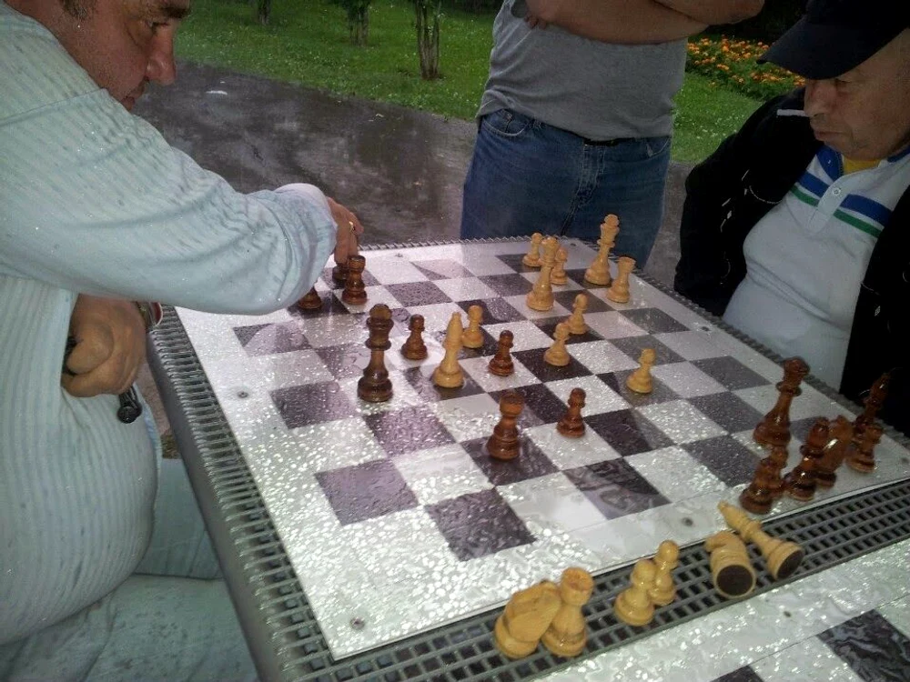 Şahişti şi tablagii jpeg